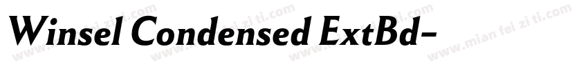 Winsel Condensed ExtBd字体转换